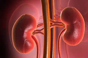 How to cure kidneys?, photo
